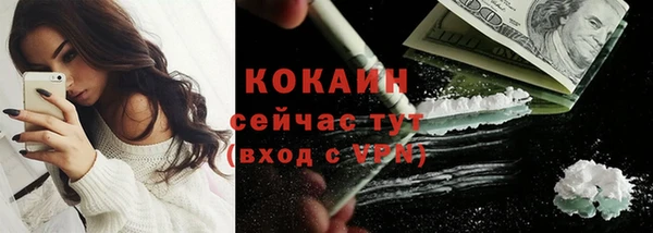 прущие грибы Рославль