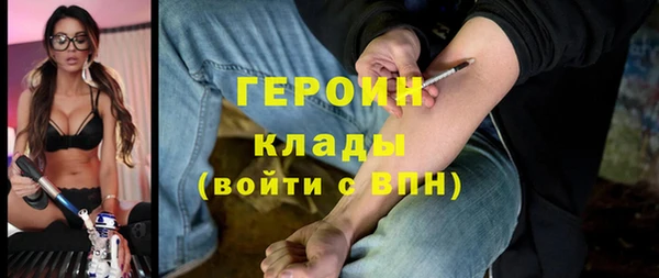 прущие грибы Рославль