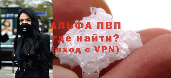 прущие грибы Рославль