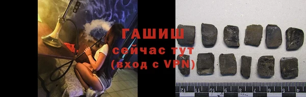прущие грибы Рославль