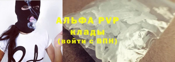 прущие грибы Рославль