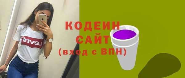 прущие грибы Рославль