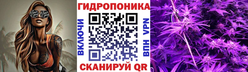 Бошки Шишки конопля  Купить  Любим 